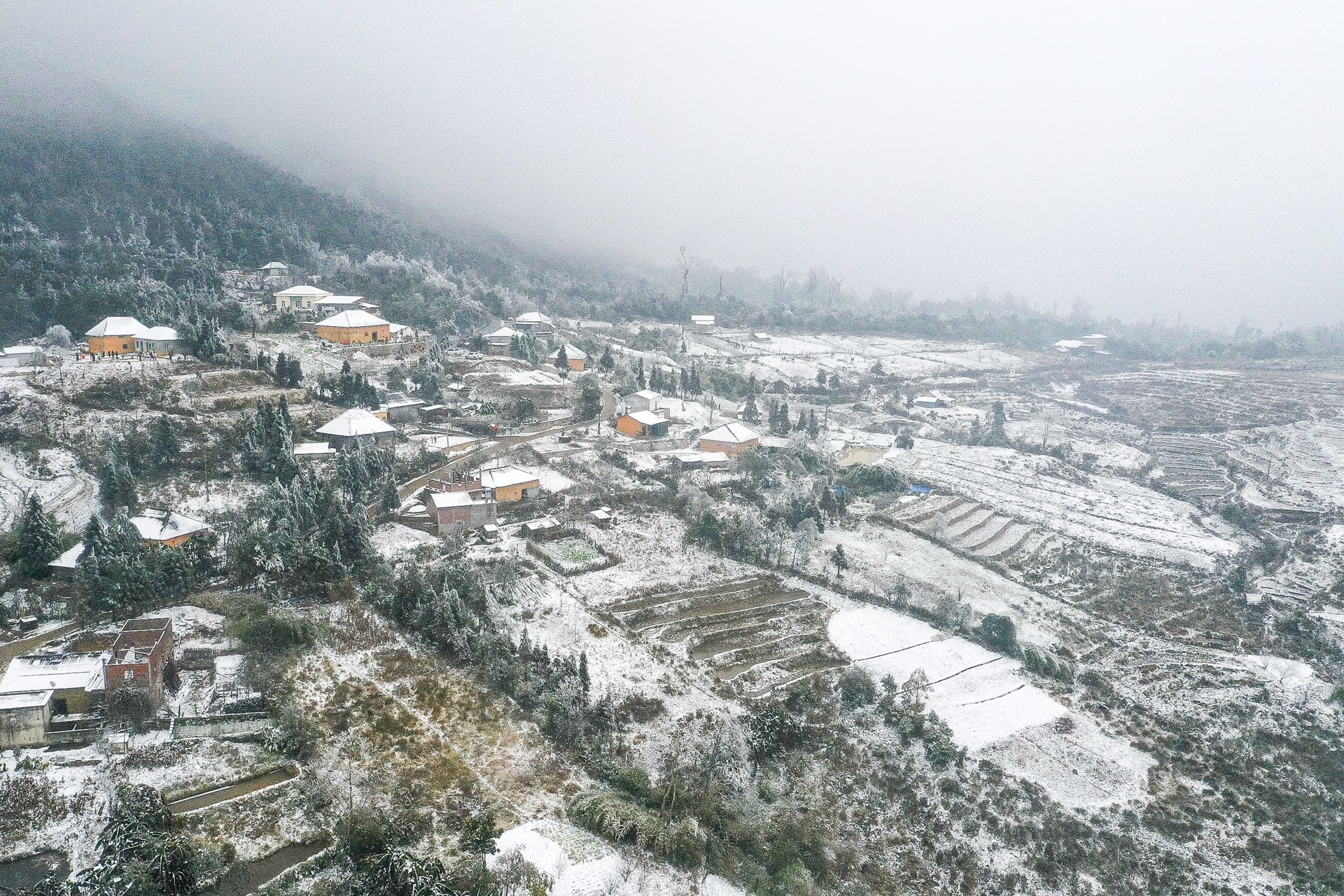 tuyet roi o Y Ty anh 7