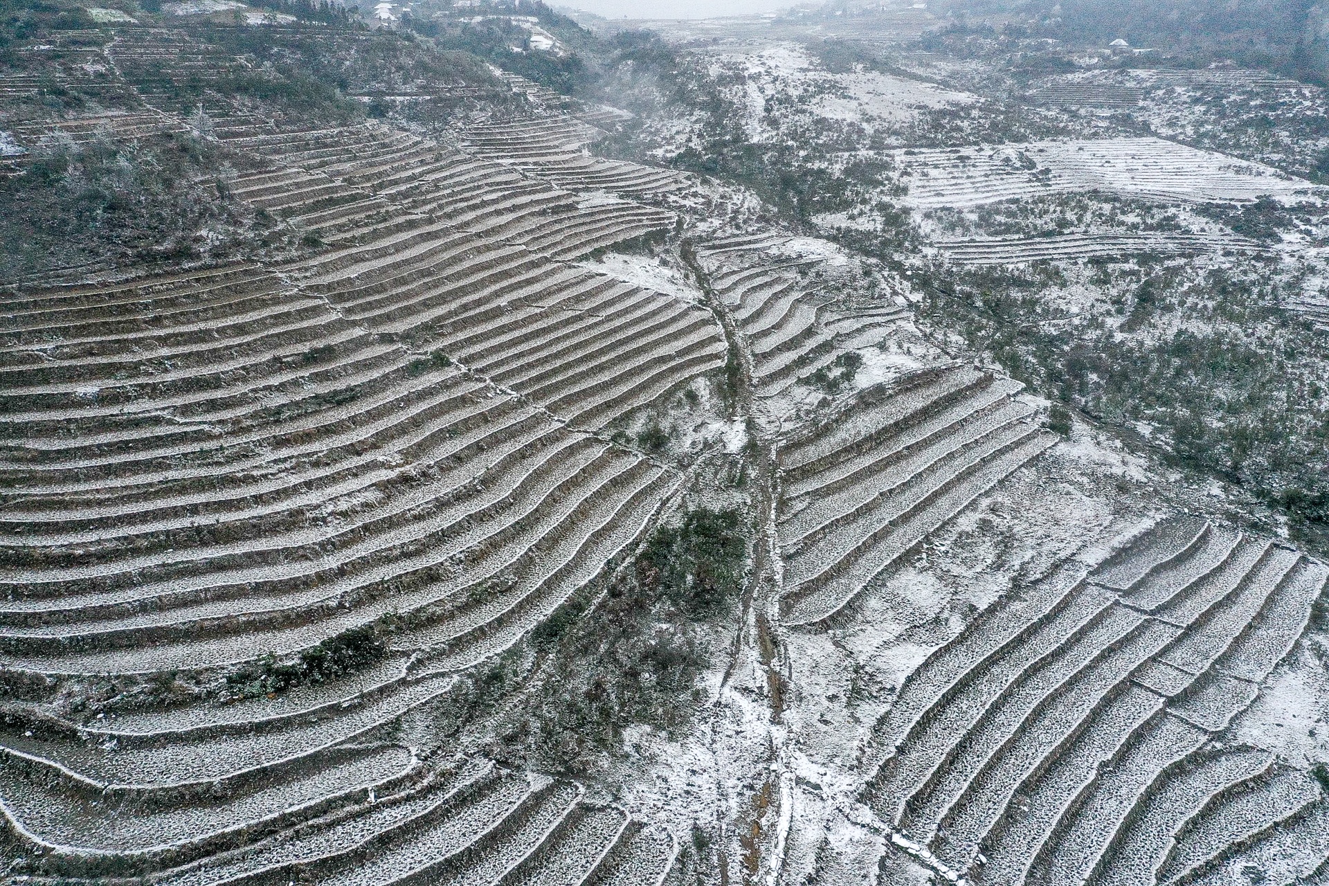 tuyet roi o Y Ty anh 5