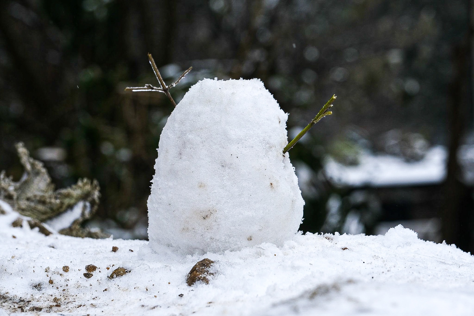 tuyet roi o Y Ty anh 26