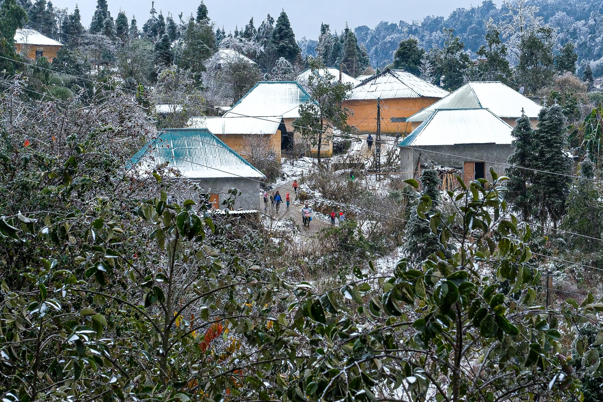 tuyet roi o Y Ty anh 2