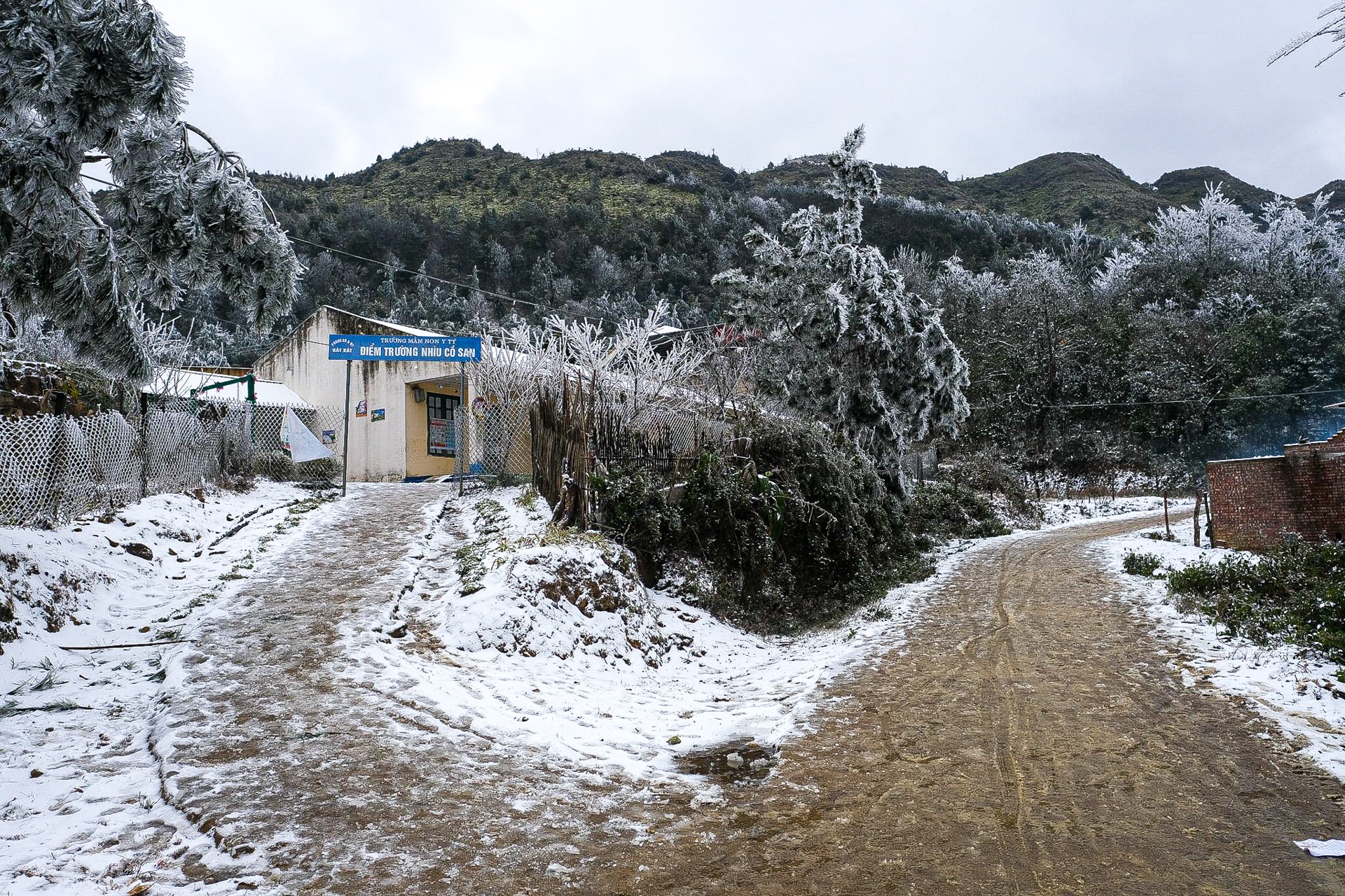 tuyet roi o Y Ty anh 3