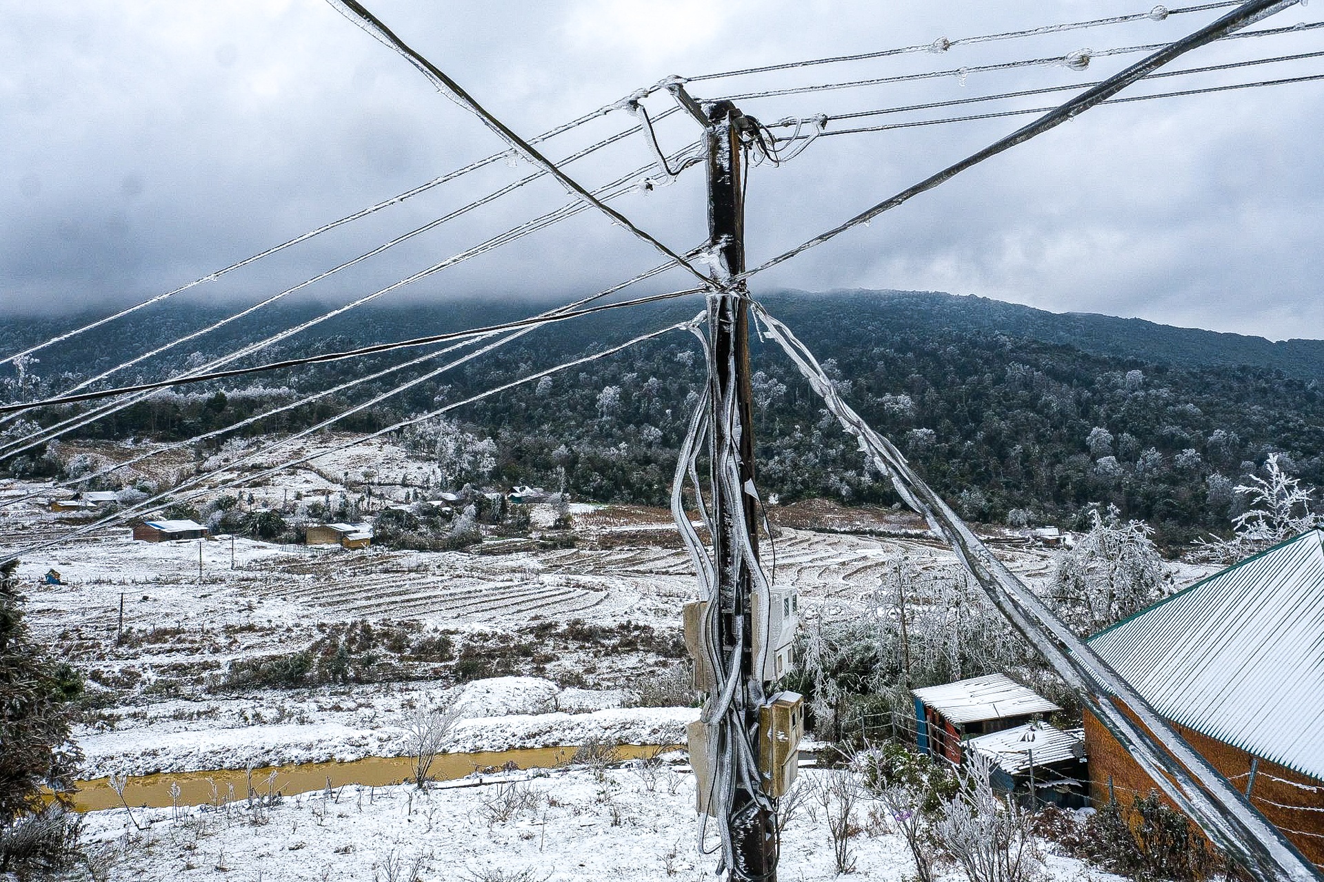 tuyet roi o Y Ty anh 7