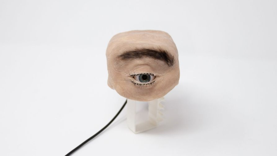 webcam ki di hinh mat nguoi anh 1