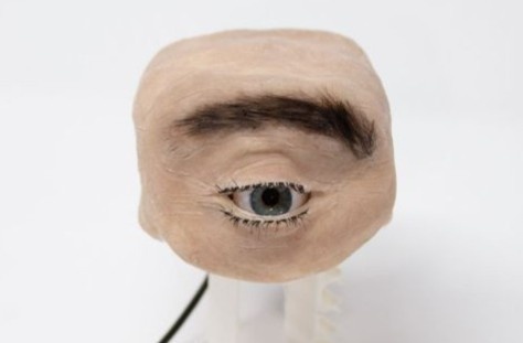 Cong dung cua mau webcam rung ron hinh mat nguoi hinh anh