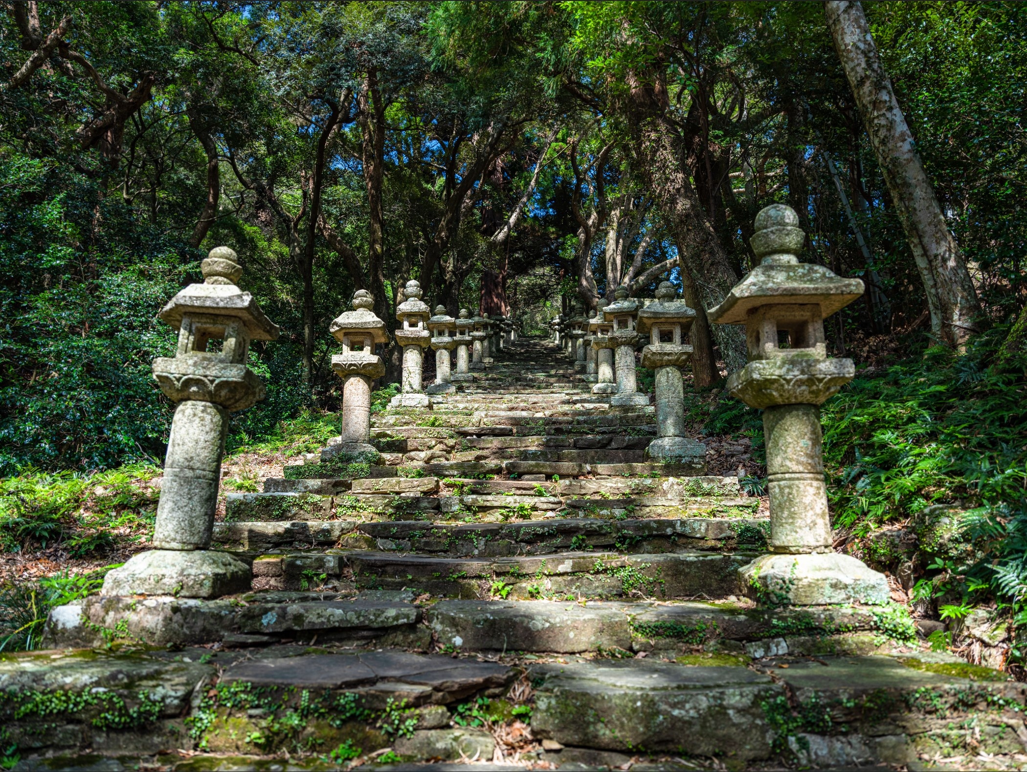 Hinh anh thuc cua hon dao Tsushima anh 2