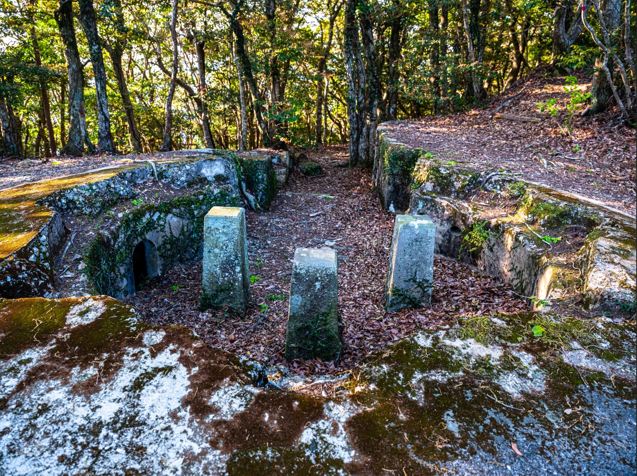 Hinh anh thuc cua hon dao Tsushima anh 3