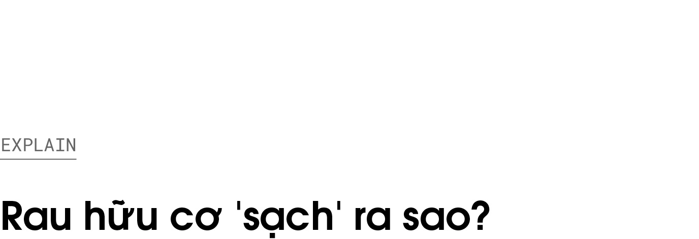 Loi ich tu rau huu co anh 1