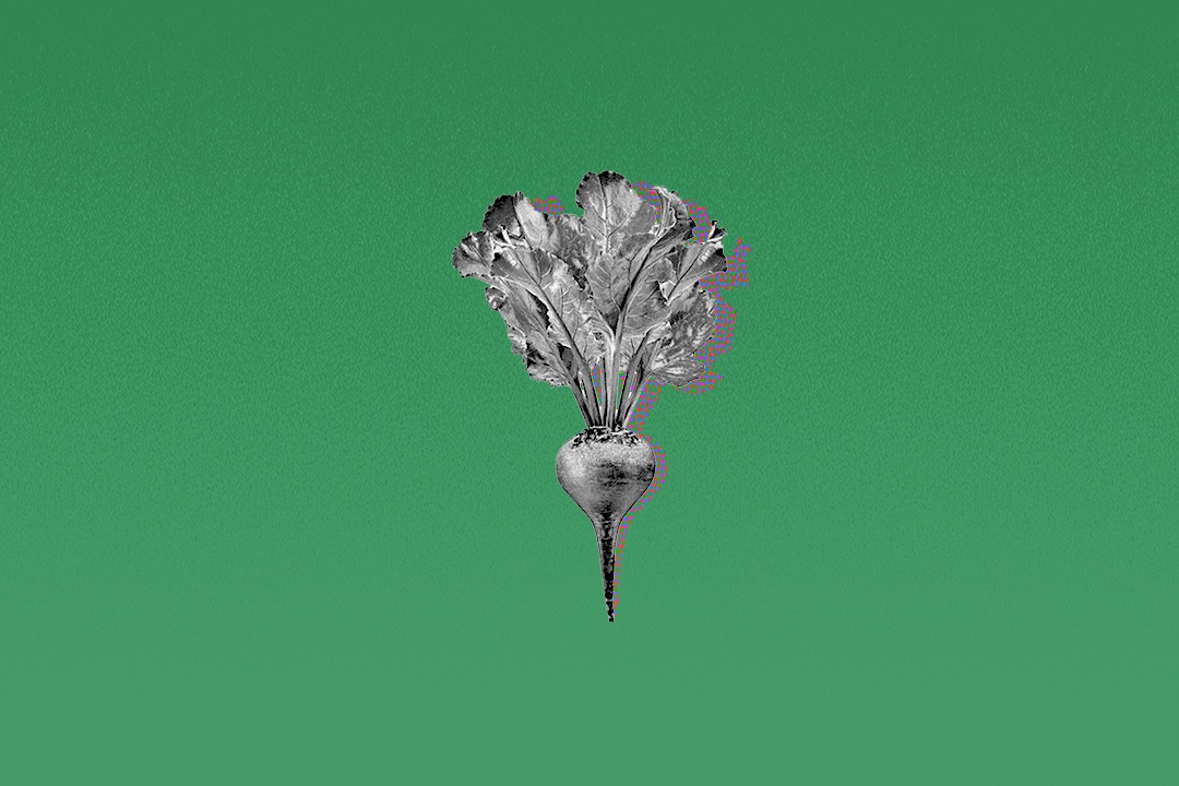 Rau huu co 'sach' ra sao? hinh anh