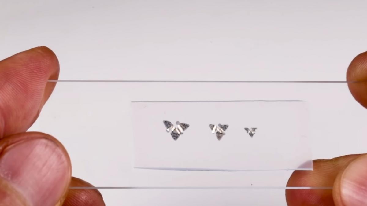 Vi mach bay nho bang hat cat anh 1