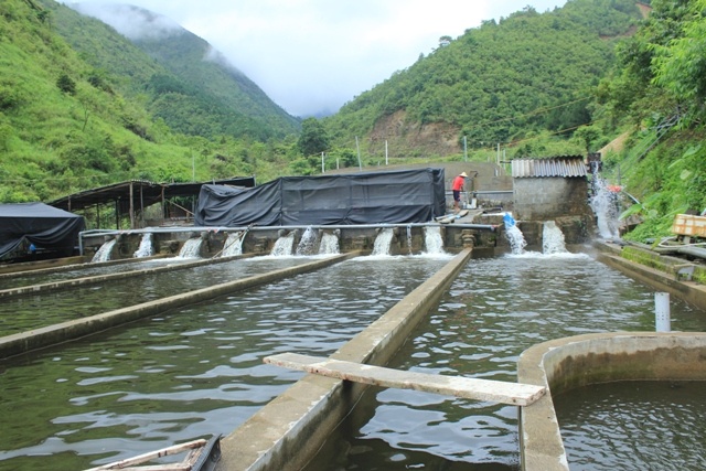 Vo mong doi doi tu trang trai ca ‘cong chua’ hinh anh