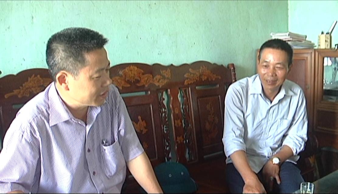 nuôi gà trên cát ảnh 2 nuoi ga tren cat anh 2