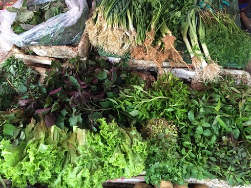 gia rau xanh sau bao so 3 anh 2