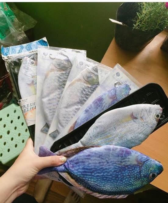 túi đựng bút hình cá ảnh 1 tui dung but hinh ca anh 1