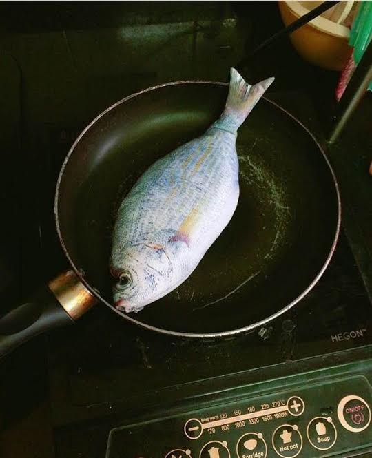 túi đựng bút hình cá ảnh 2 tui dung but hinh ca anh 2