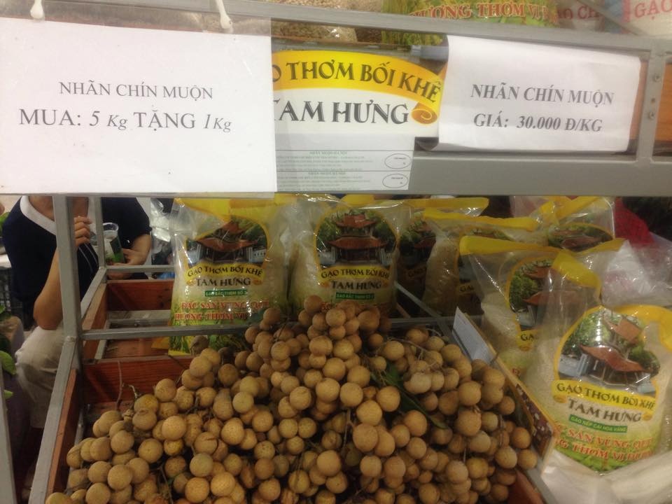 nhãn chín muộn ảnh 1 nhan chin muon anh 1