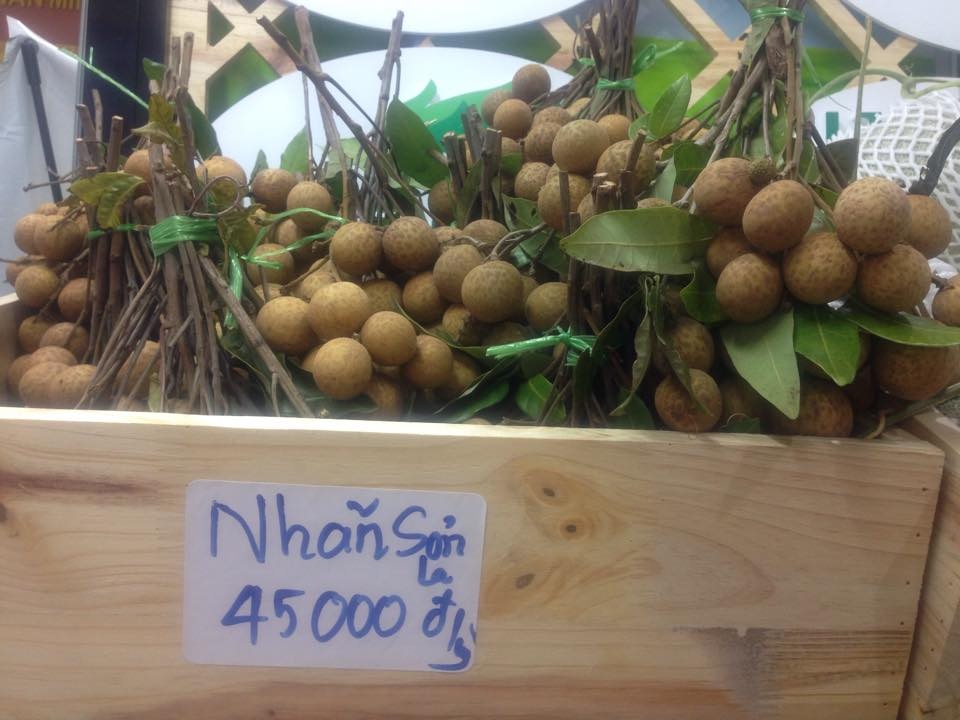 nhãn chín muộn ảnh 2 nhan chin muon anh 2