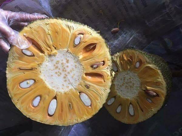 3 loai qua vao vu, gia duoi 50.000 dong/kg hinh anh