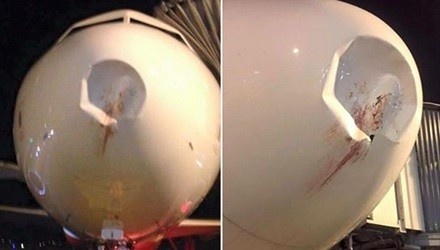 Tiep tuc de xuat dau tu gan 1.000 ty de duoi chim o san bay hinh anh