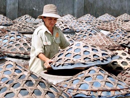 T&A Ogilvy tai tro khao sat nuoc mam cua Vinastas hinh anh