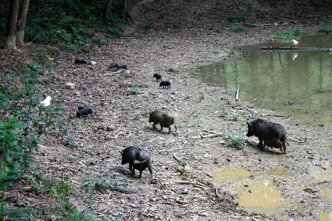 nha giau Ha Noi anh 2