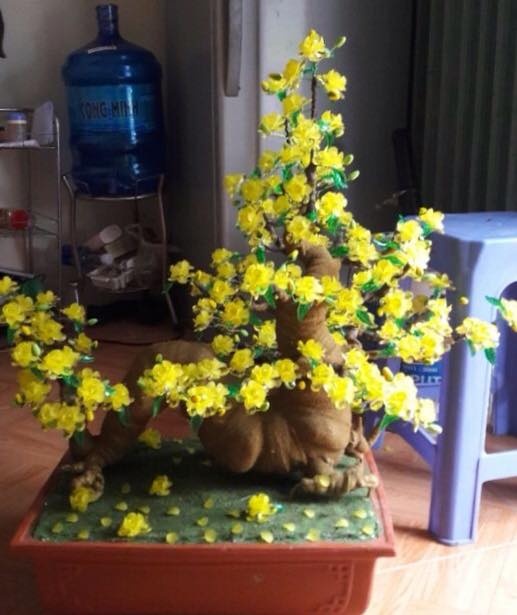 chậu mai giả ảnh 2 chau mai gia anh 2