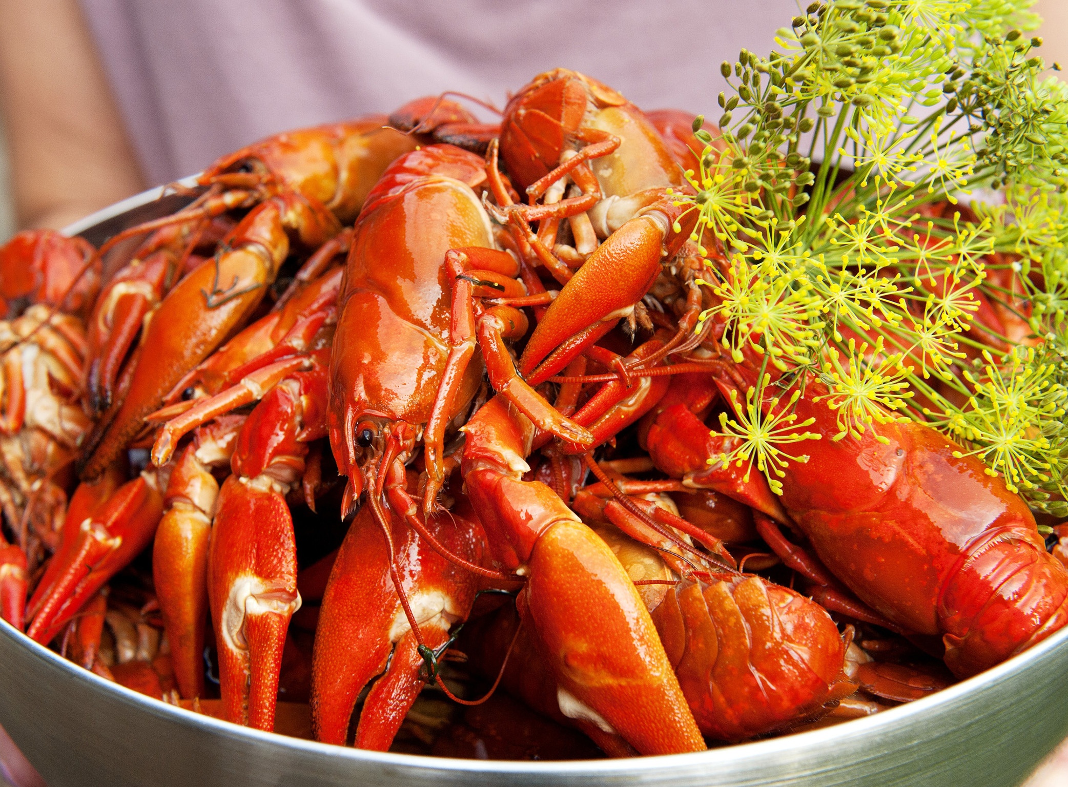 tôm hùm đất ảnh 1 tom hum dat anh 1