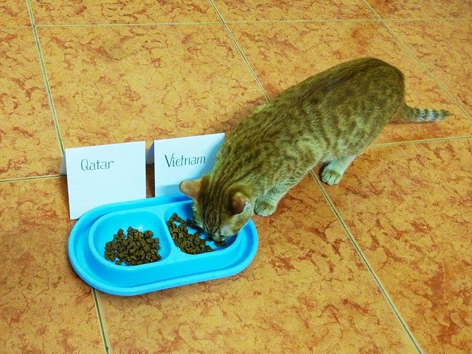 U23 Viet Nam,  Luong Son quan anh 2