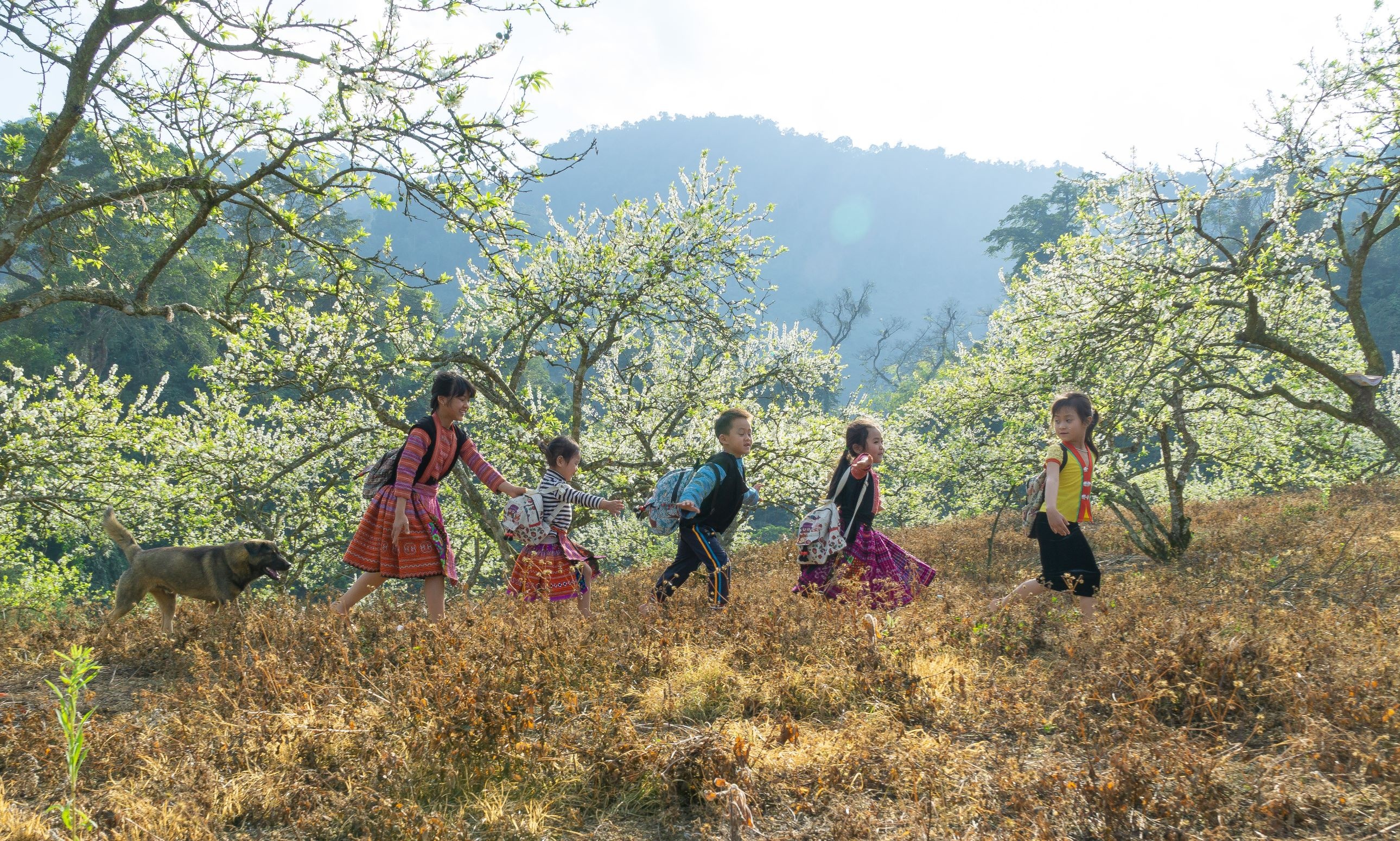 Vietravel,  Khoi hanh Tet moi anh 2