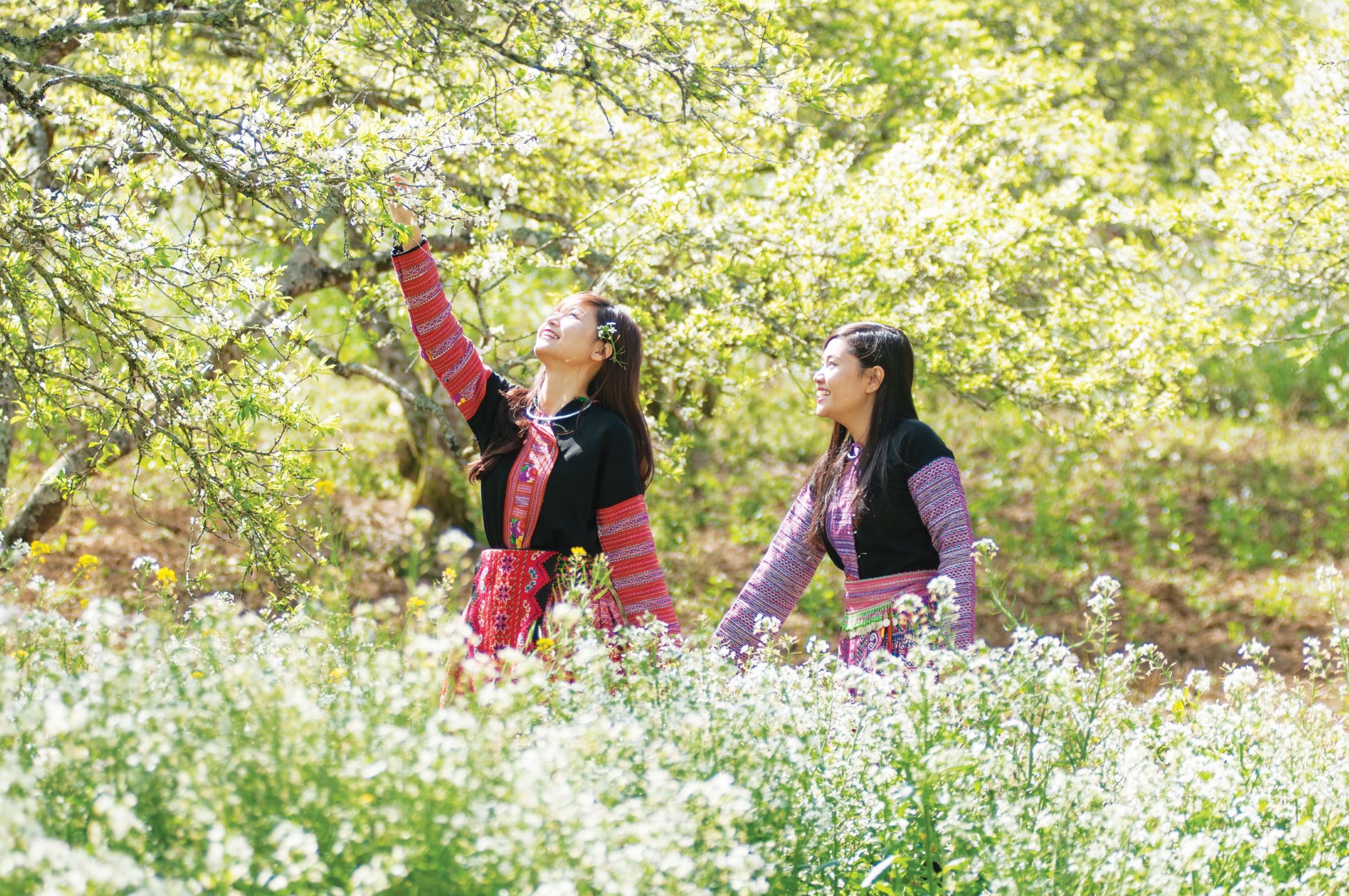 Vietravel,  Khoi hanh Tet moi anh 5