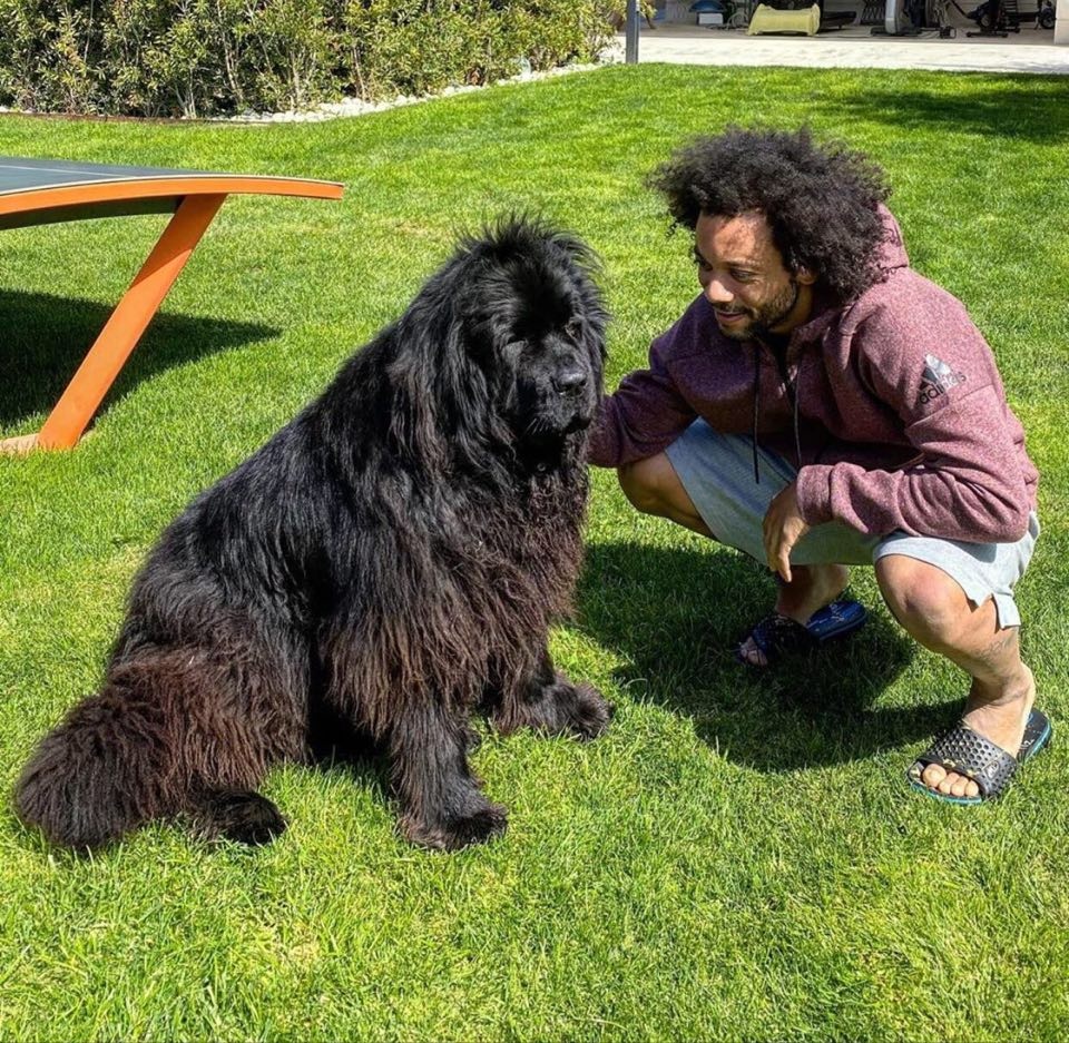 Messi,  Sanchez va cac sao bong da yeu thu cung anh 5