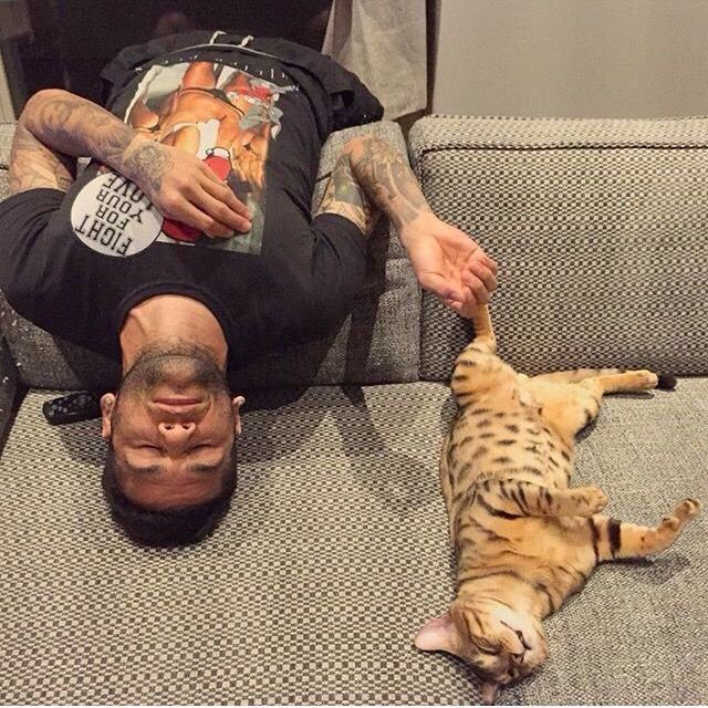 Messi,  Sanchez va cac sao bong da yeu thu cung anh 7