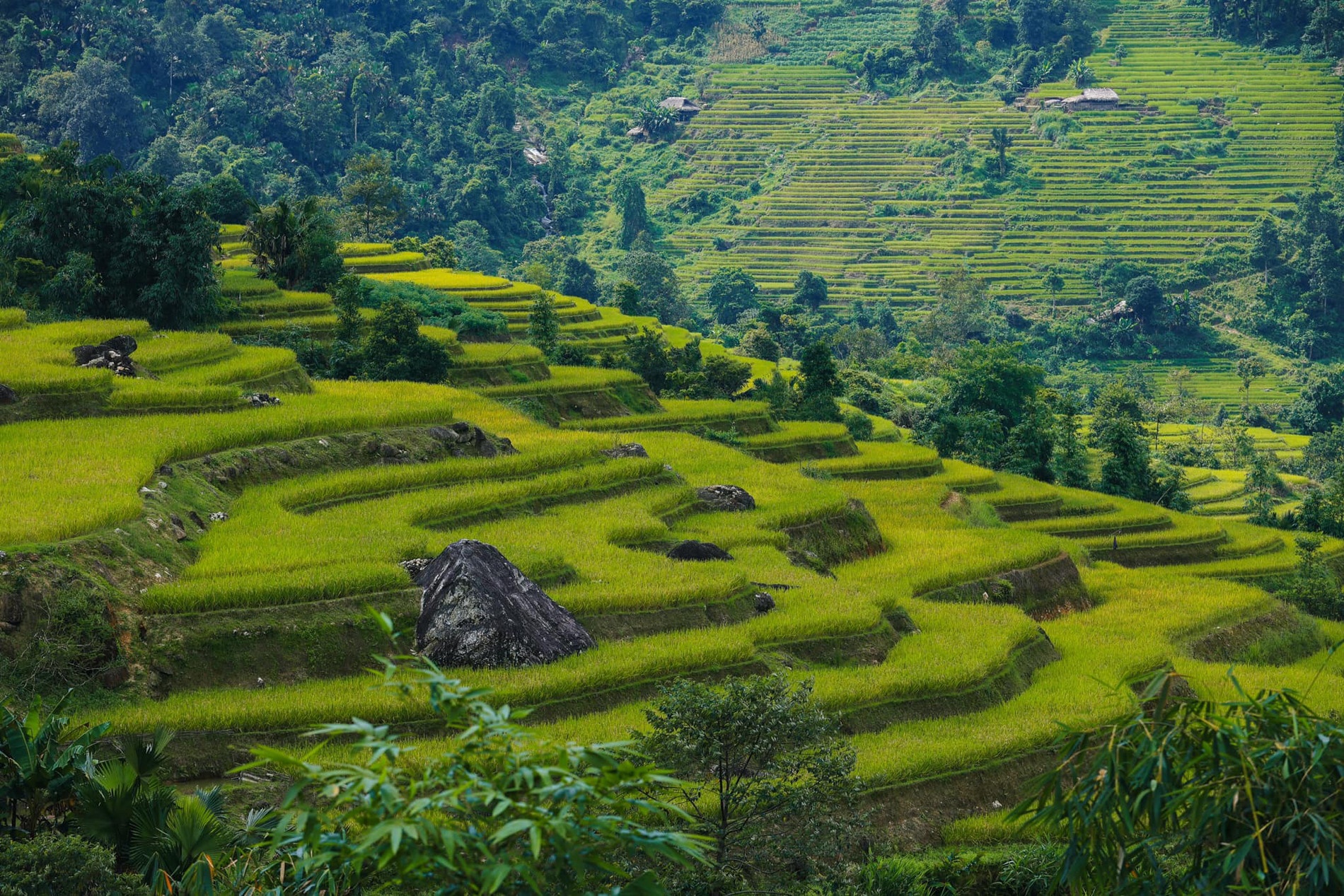 Mu Cang Chai anh 1