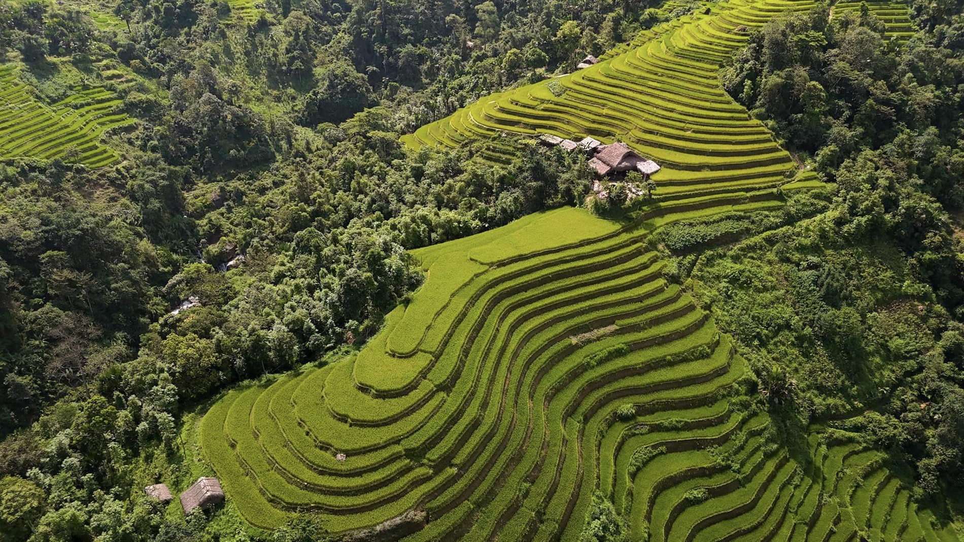 Mu Cang Chai anh 5