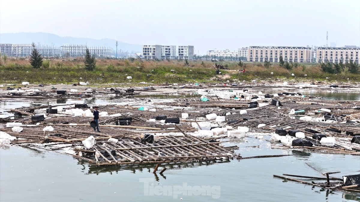 Vinh Ha Long anh 12