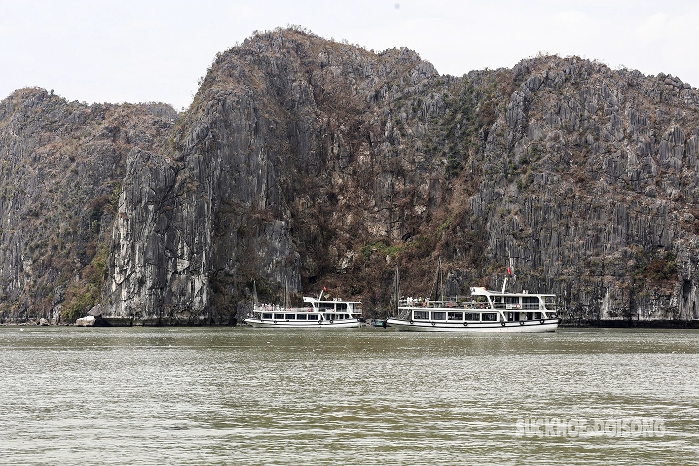 Vinh Ha Long anh 10