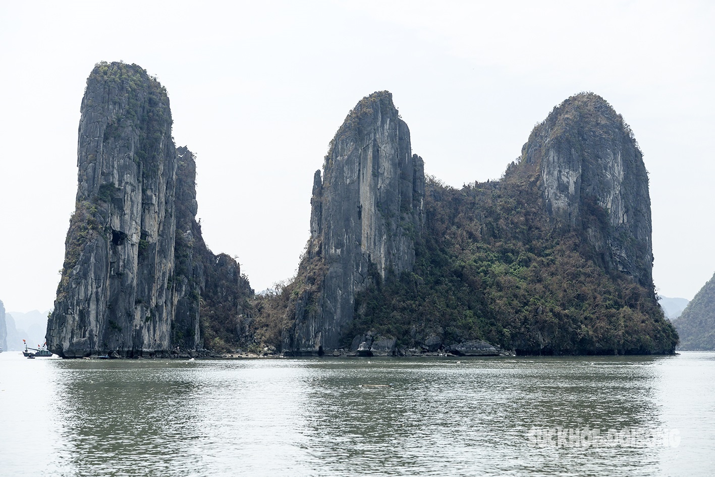 Vinh Ha Long anh 9