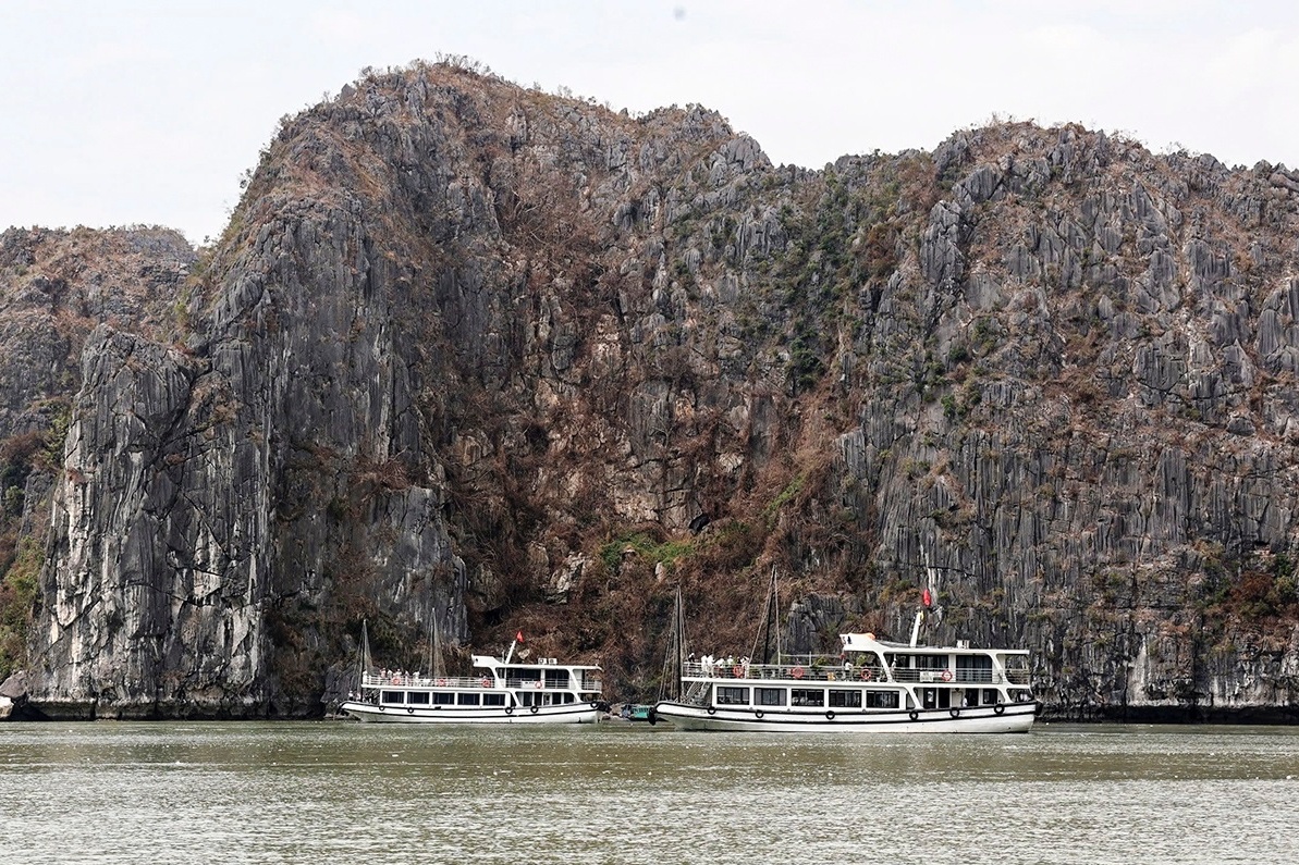 Tham thuc vat co nguy co chet kho sau bao tren vinh Ha Long hinh anh