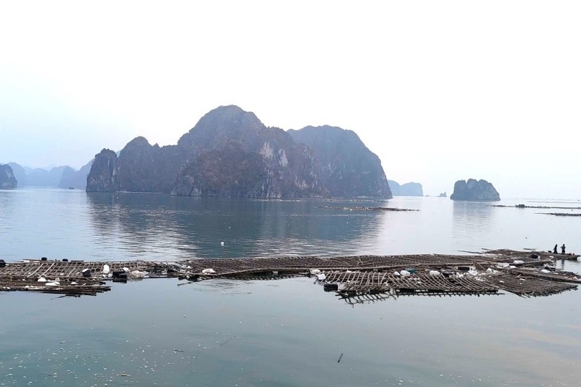 Xu ly 'nui' rac khong lo tren vinh Ha Long hinh anh