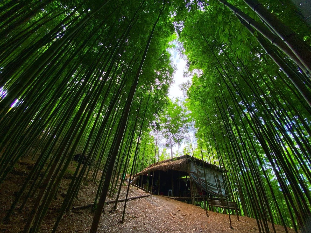 Mu Cang Chai anh 5