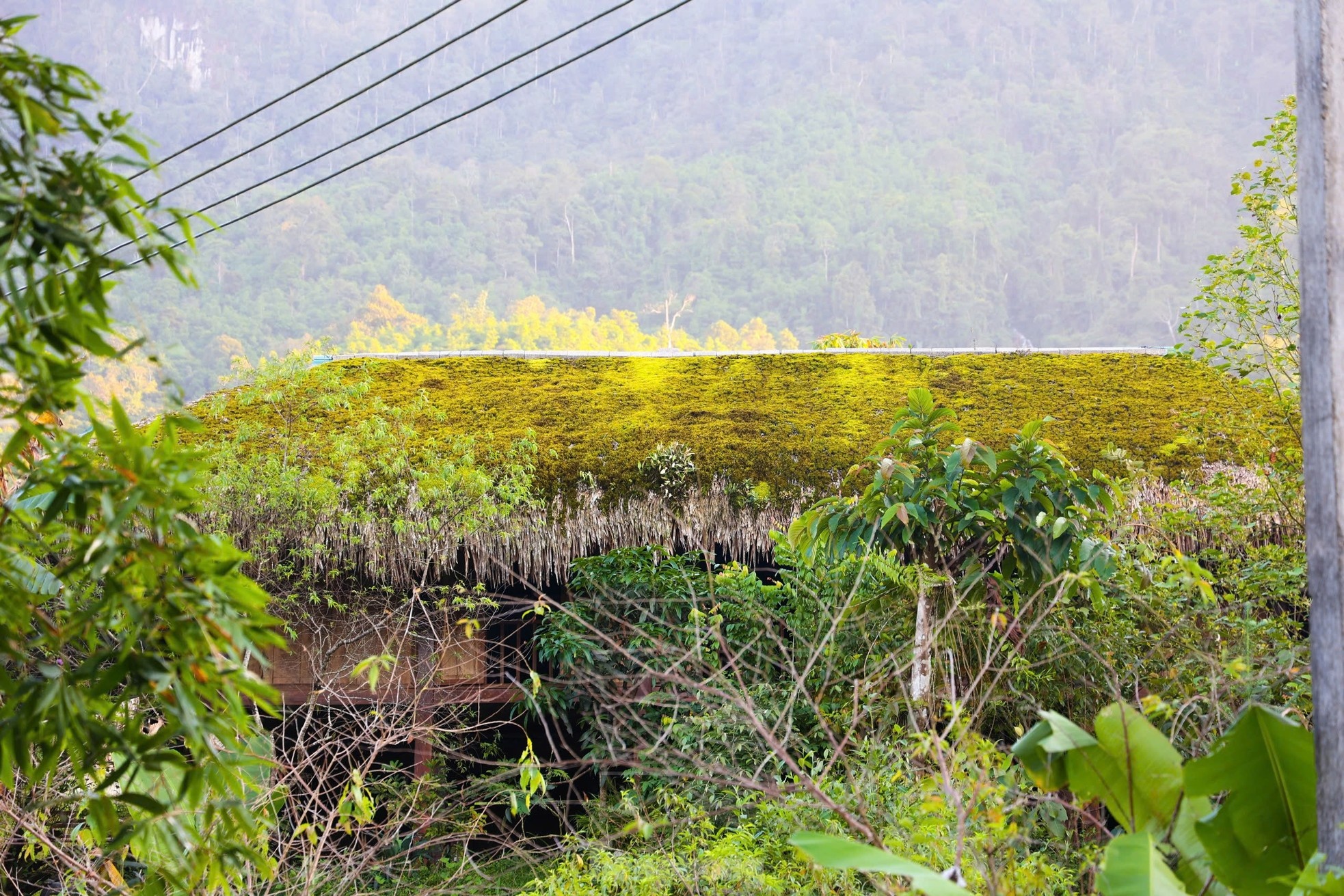 Ha Giang anh 11