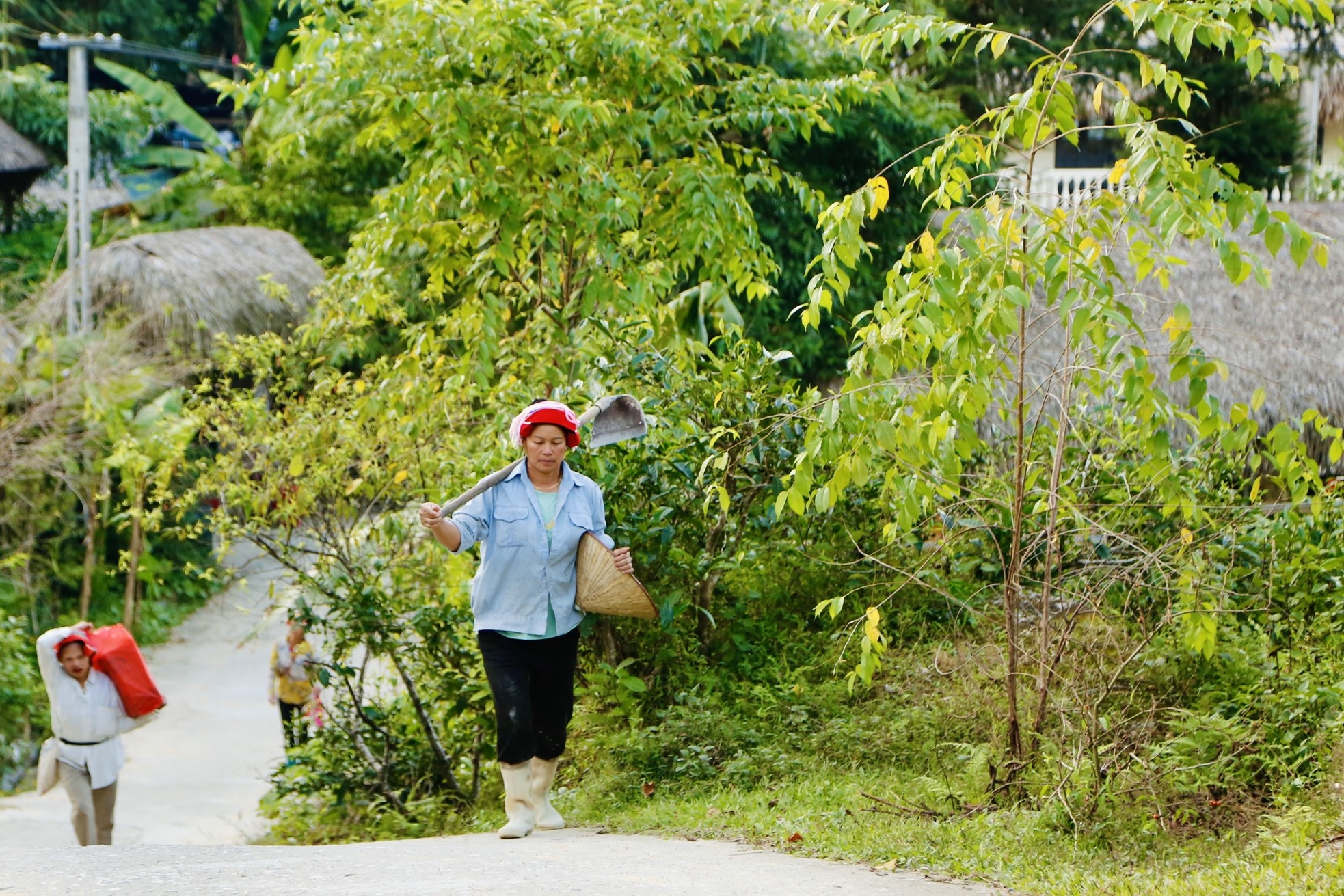 Ha Giang anh 7