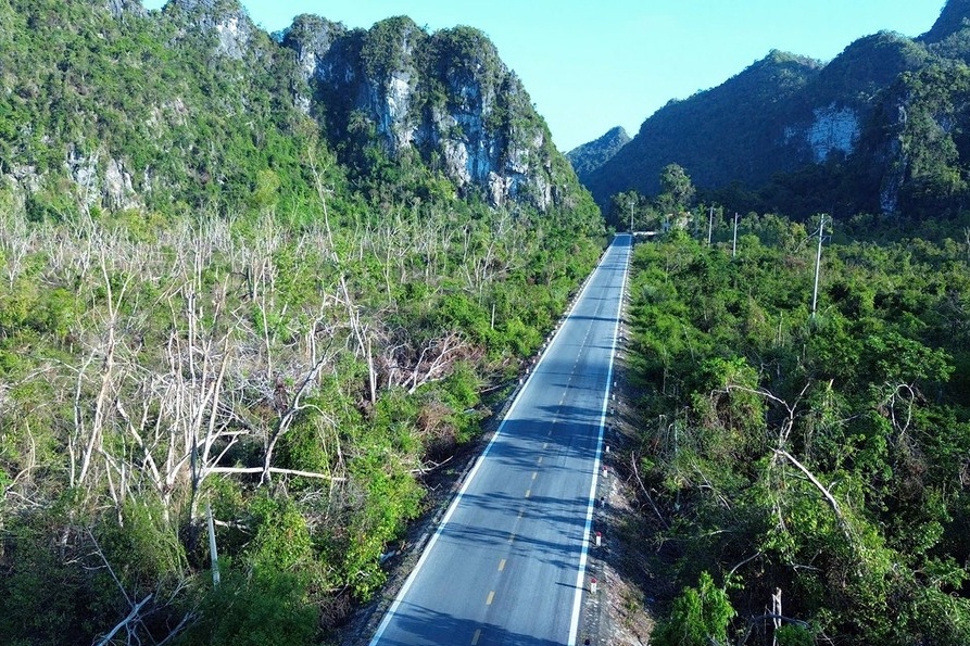 Vuon quoc gia Cat Ba 'chua lanh' sau bao so 3 hinh anh