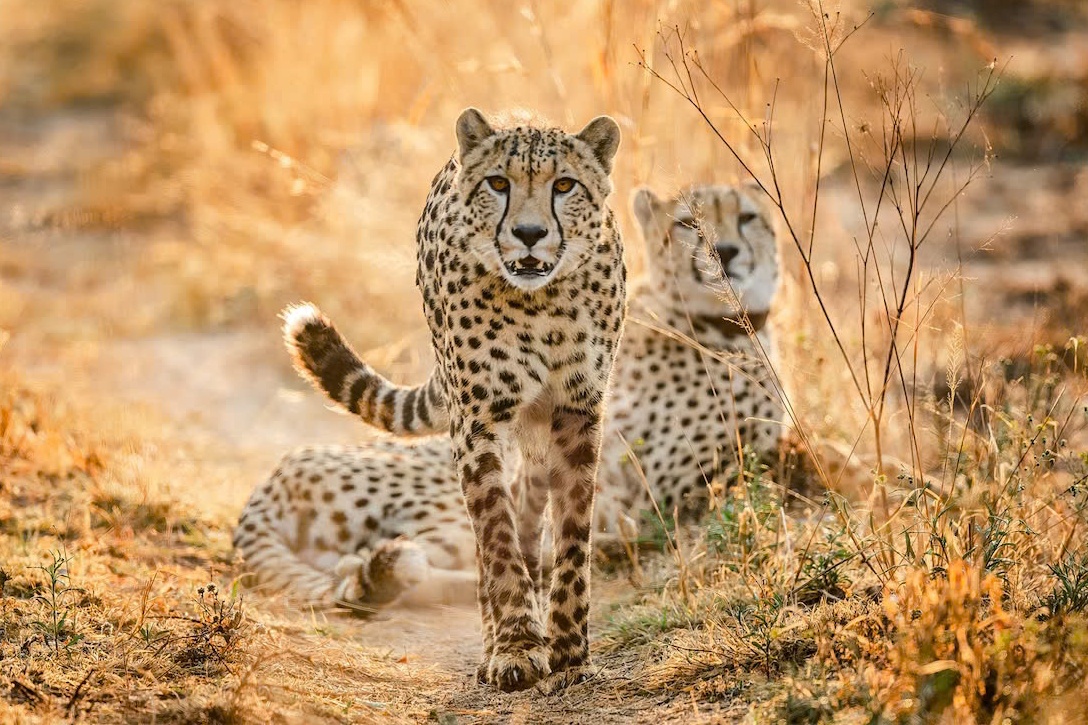 25 diem du lich 'dang tung dong' khap the gioi nam 2025 hinh anh