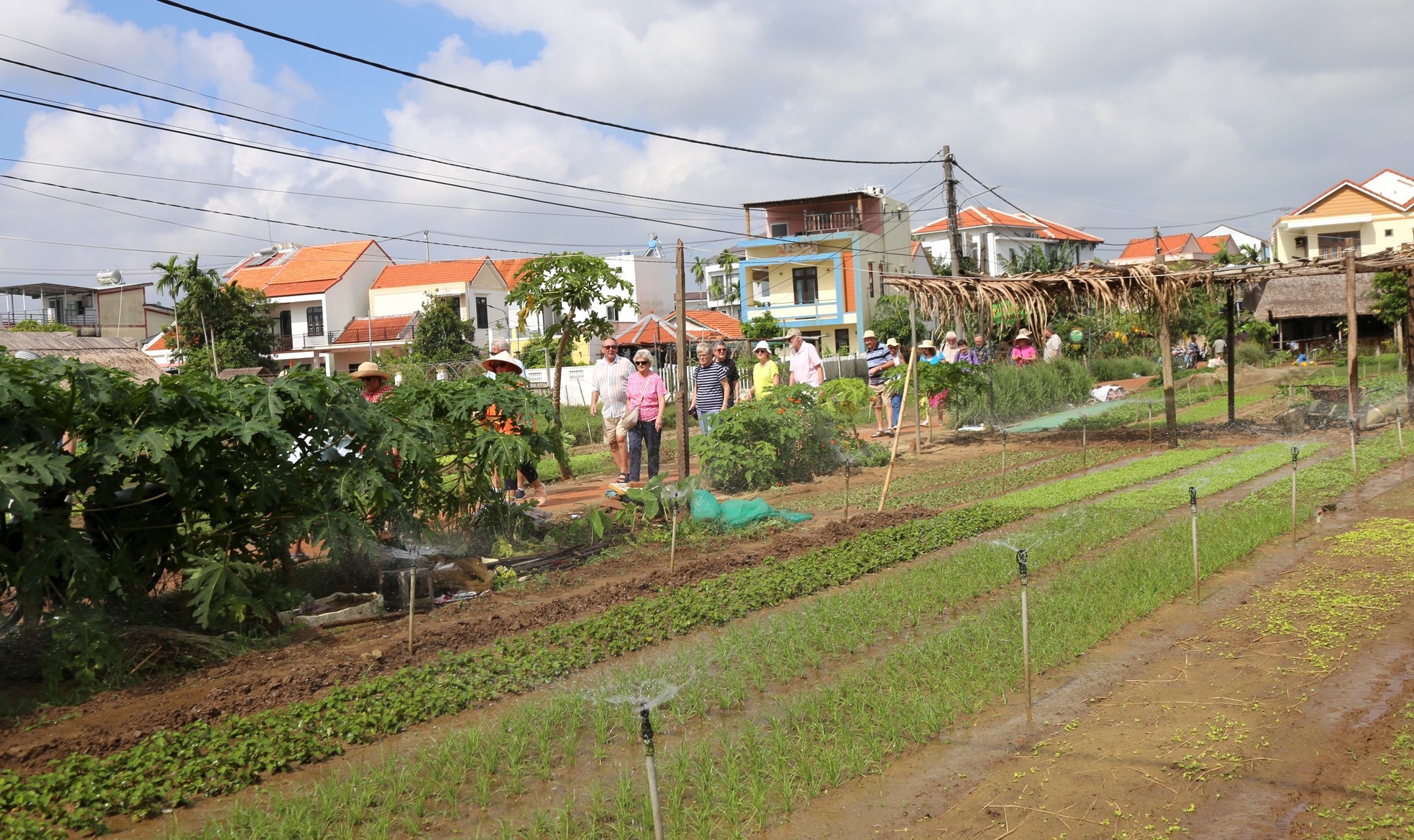 Hoi An anh 13