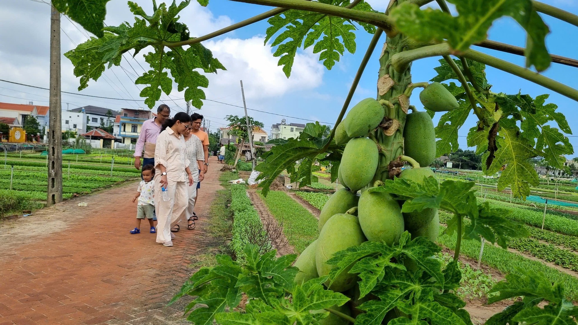 Hoi An anh 14