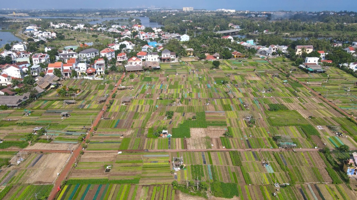 Hoi An anh 2