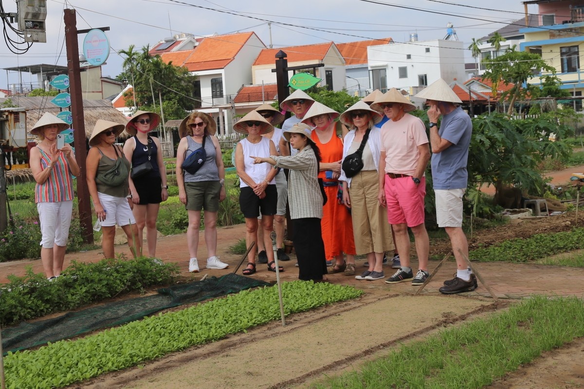 Hoi An anh 3