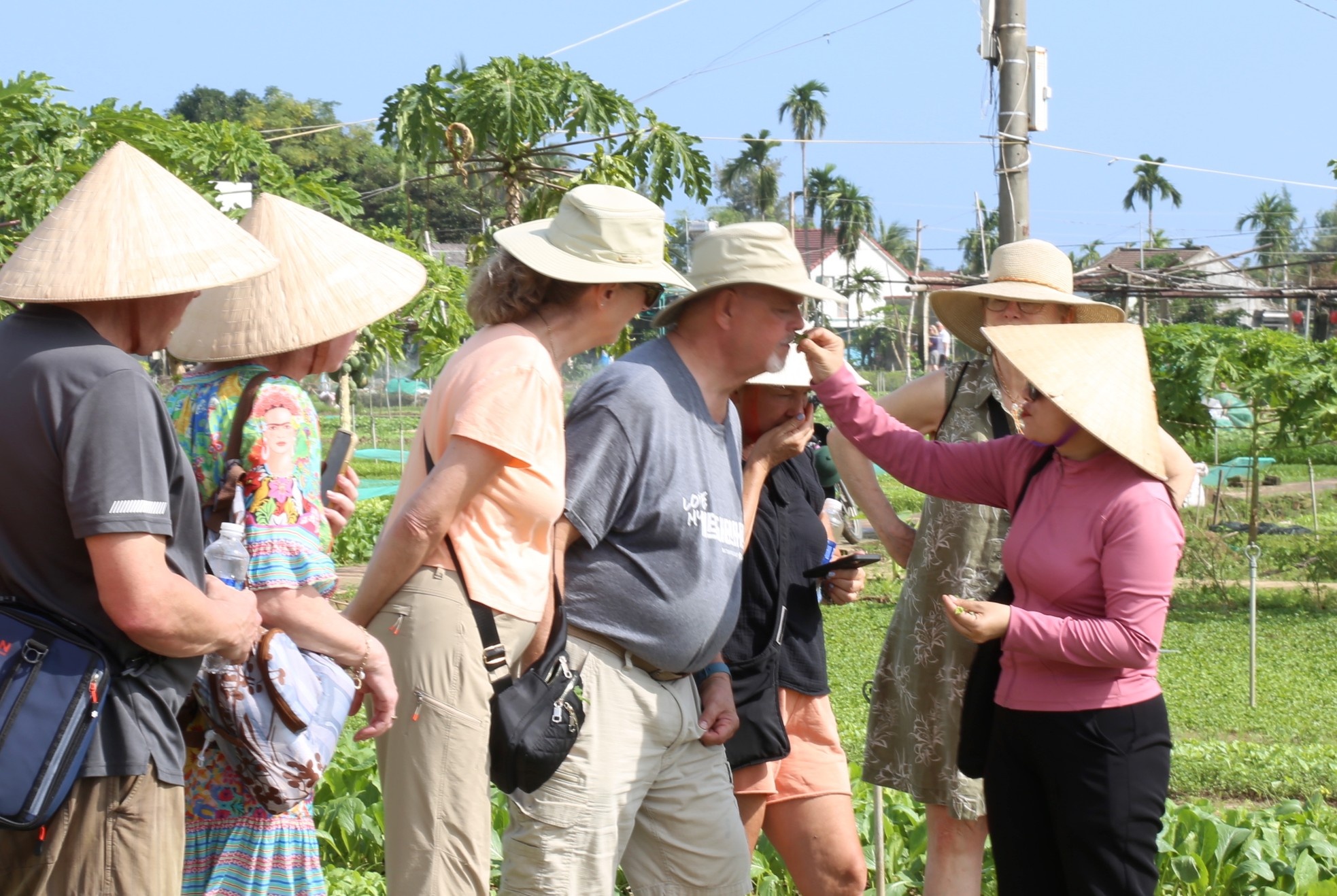 Hoi An anh 4