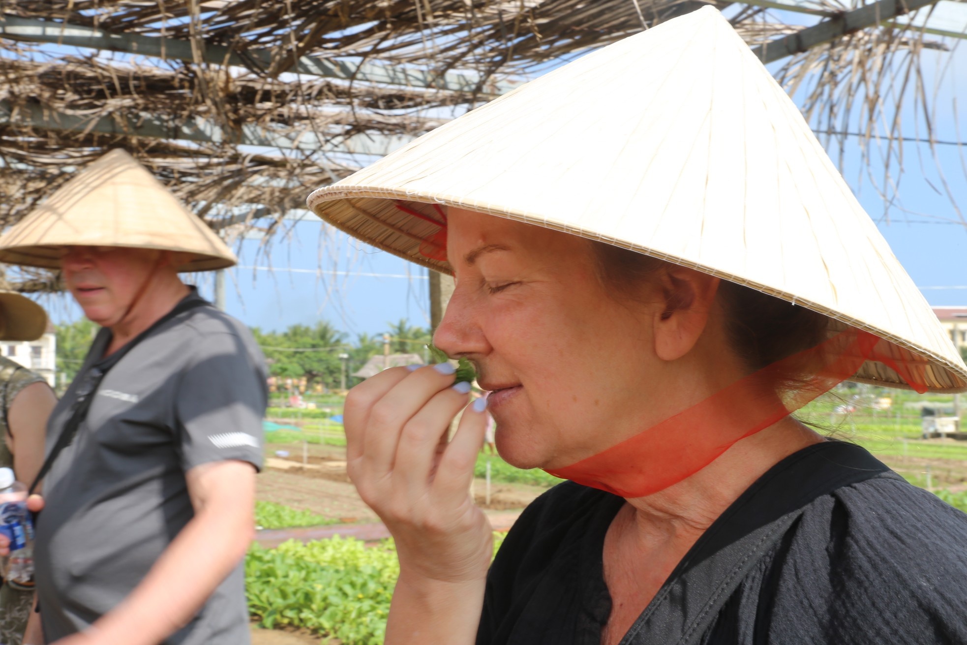 Hoi An anh 5