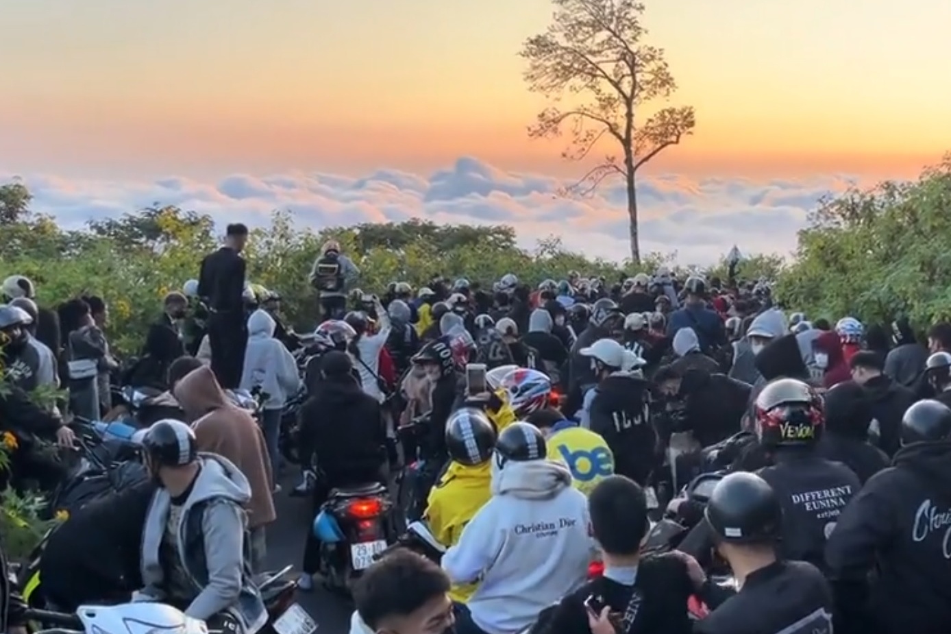 Ba Vi 'vo tran' vi khach san hoa da quy hinh anh